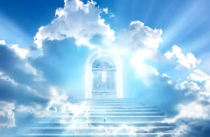 تاج النور يوم القيامة لمن علم أبناءه القرآن.. الإفتاء توضح الفضل العظيم