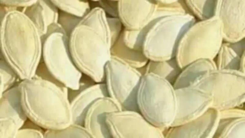 كنز مهمل في مطبخك.. ماذا يحدث لجسمك عند تناول لب الكوسة يوميًا؟