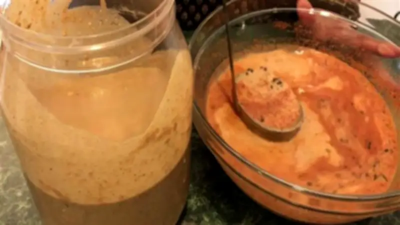 خبير تغذية يحذر من مخاطر تناول "المش" بالديدان ويوضح طرق الحفظ الآمنة