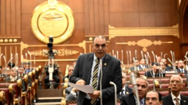 نائب يطالب برفع مخصصات الصحة في الموازنة الجديدة لتحقيق العدالة العلاجية