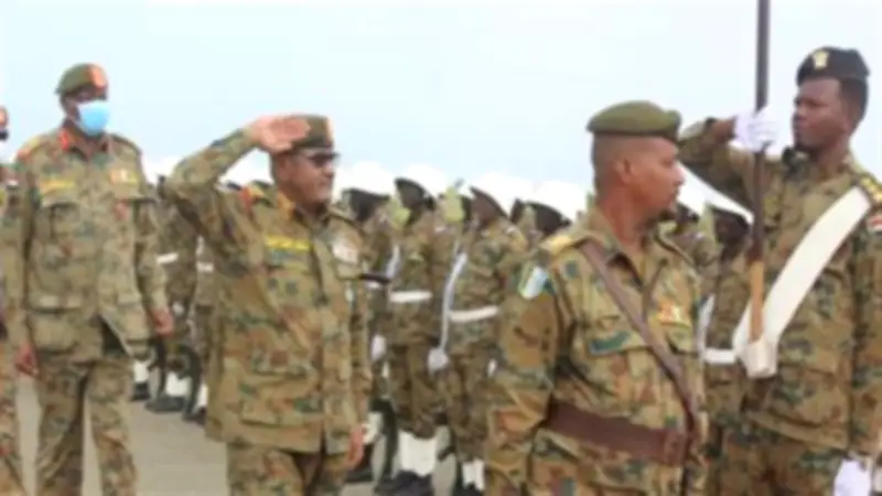 الجيش السوداني يتصدى لهجوم الدعم السريع على منطقة سالي في النيل الأزرق