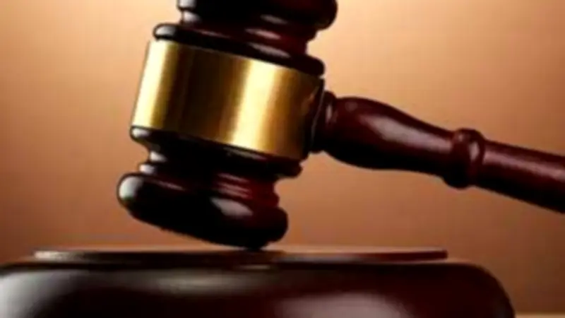 حقوق النفقة ليست رفاهية.. مها أبو بكر توضح إجراءات التنفيذ