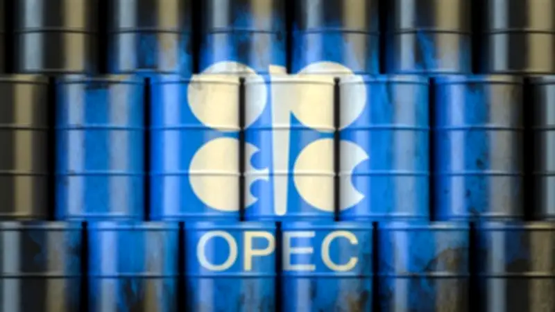 خبيرة أسواق مال: انسحاب الإمارات من أوبك يعيد رسم خريطة أسعار النفط عالميا