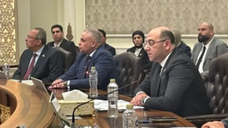 انطلاق جلسة برلمانية لحزب حماة الوطن حول مستقبل الصحة في مصر