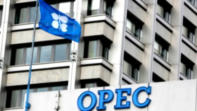 خبراء: انسحاب الإمارات من أوبك يضعف قدرة المنظمة على التحكم بسوق النفط
