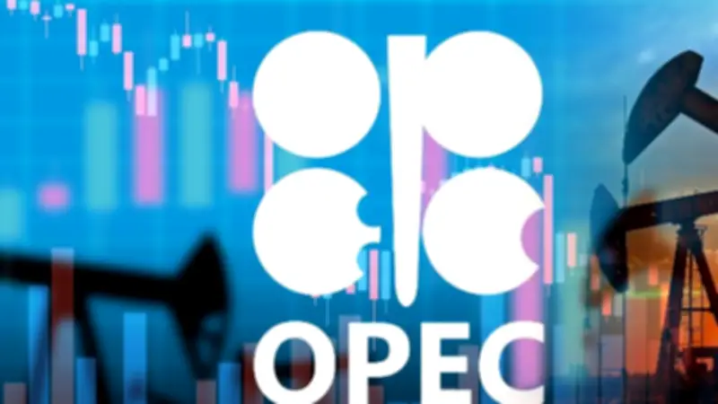 خبير طاقة: خروج الإمارات من أوبك يمنحها حرية أكبر في إدارة مواردها النفطية