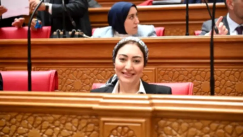 تحرك برلماني عاجل لمواجهة تعطل سيستم التأمينات وتأجيل الخدمات