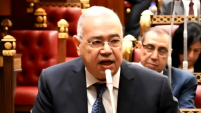 الحضانة للأصلح.. النائب عصام خليل يطرح رؤية تشريعية جديدة لحماية الأبناء