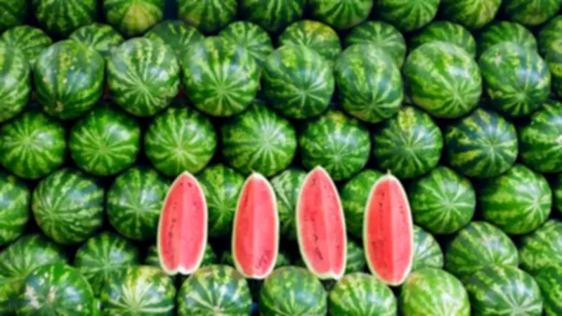 مركز البحوث الزراعية ينفي شائعات البطيخ المسرطن ويؤكد سلامته
