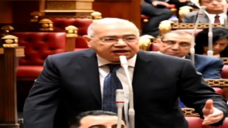 الحضانة للأصلح.. النائب عصام خليل يعلن طرح رؤية تشريعية لقانون حماية الأبناء