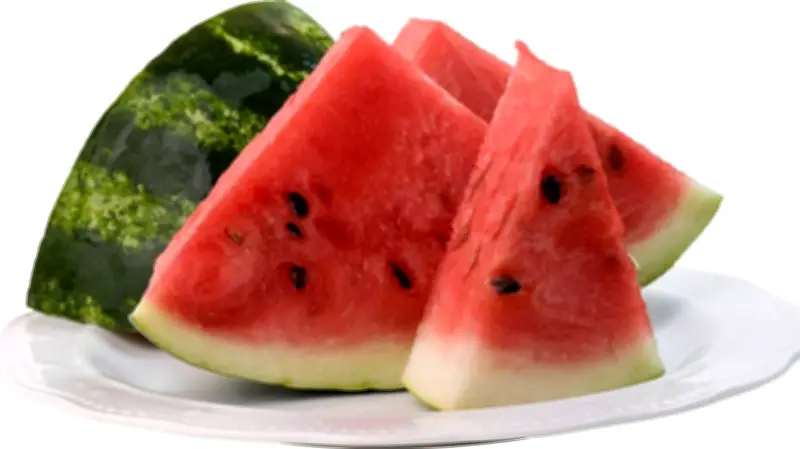 الدكتور خالد جاد: البطيخ آمن ولا يسبب تسمماً عند تناوله
