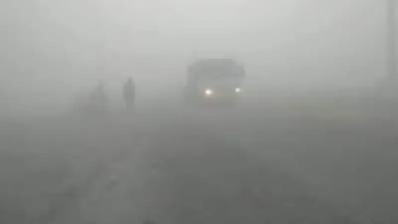 تحذير عاجل من الأرصاد: شبورة كثيفة تؤثر على الرؤية بالطرق السريعة صباح الثلاثاء
