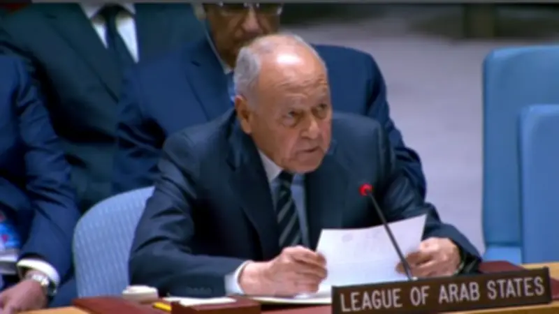 أبو الغيط: الحكومة الإسرائيلية تمثل خطراً مباشراً على استقرار المنطقة