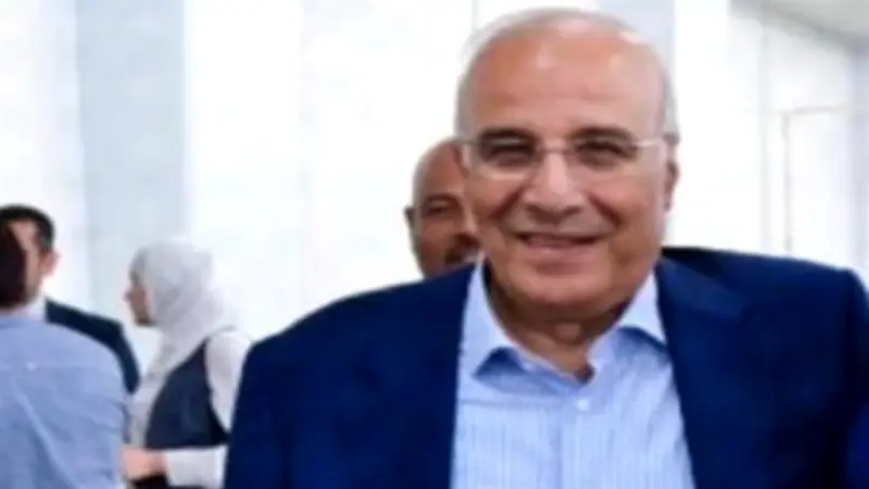 اتحاد منتجي الدواجن: مفاوضات مع دول خليجية والعراق لتصدير الفراخ والبيض