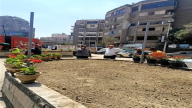 زراعة نبات النيل الأبيض في ميدان لبنان ضمن خطة تجميل شوارع الجيزة