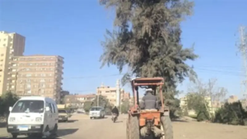 طريق طوخ - شبين: حفر ومطبات تهدد حياة الطلاب والسائقين