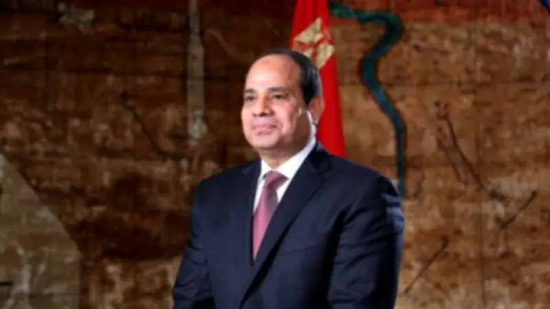 السيسي يؤكد حرص مصر على توسيع التعاون التعليمي مع اليابان