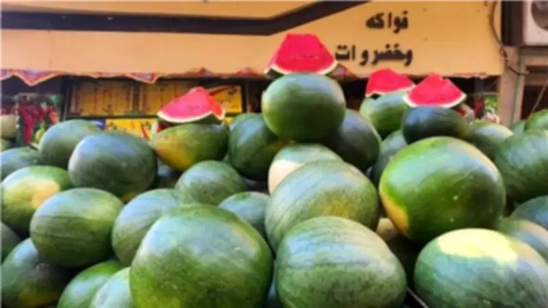 هل طُرح البطيخ قبل أوانه؟.. رئيس مركز معلومات المناخ يحسم الجدل