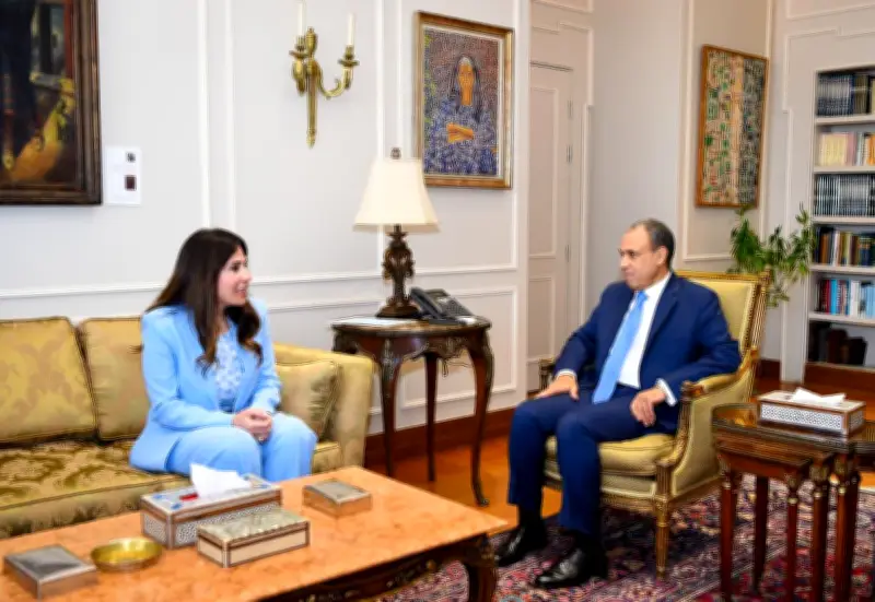 وزيرا الخارجية والإسكان يناقشان مبادرة بيتك في مصر لدعم المصريين بالخارج