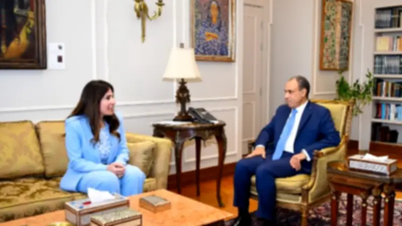 تنسيق مصري بين الخارجية والإسكان لدعم المصريين بالخارج والمشروعات الإفريقية
