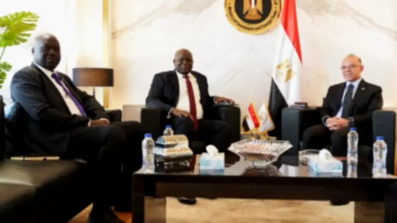 محمد فريد: مصر ترحب بدراسة الفرص الاستثمارية في جنوب السودان