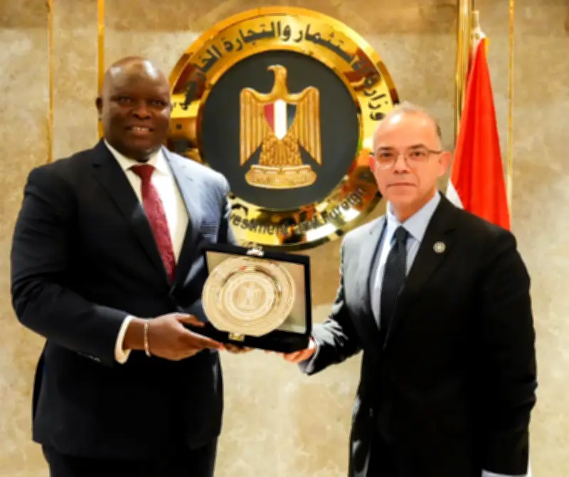 محمد فريد: مصر ترحب بدراسة الفرص الاستثمارية في جنوب السودان