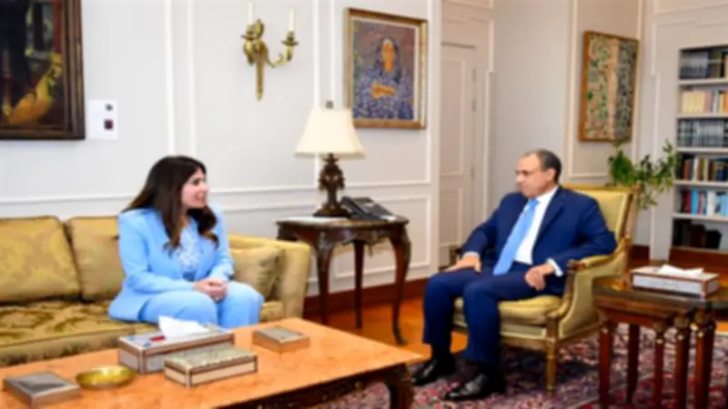 وزيرا الخارجية والإسكان يناقشان تعزيز الخدمات للمصريين بالخارج