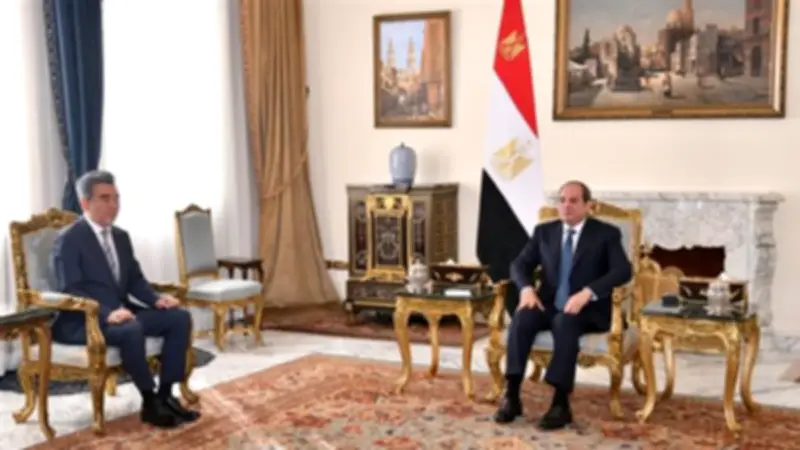 تفاصيل لقاء السيسي برئيس جامعة هيروشيما اليابانية لتعزيز التعاون التعليمي