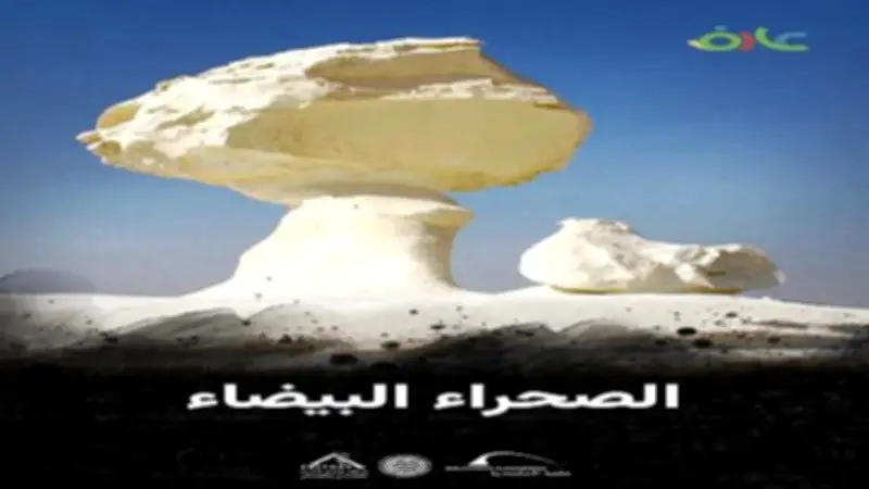 مكتبة الإسكندرية تطلق فيلمًا وثائقيًا بعنوان "محمية الصحراء البيضاء"