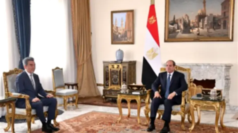 السيسي يؤكد لميتسو أوتشي حرص مصر على تطوير التعليم بالشراكة مع اليابان
