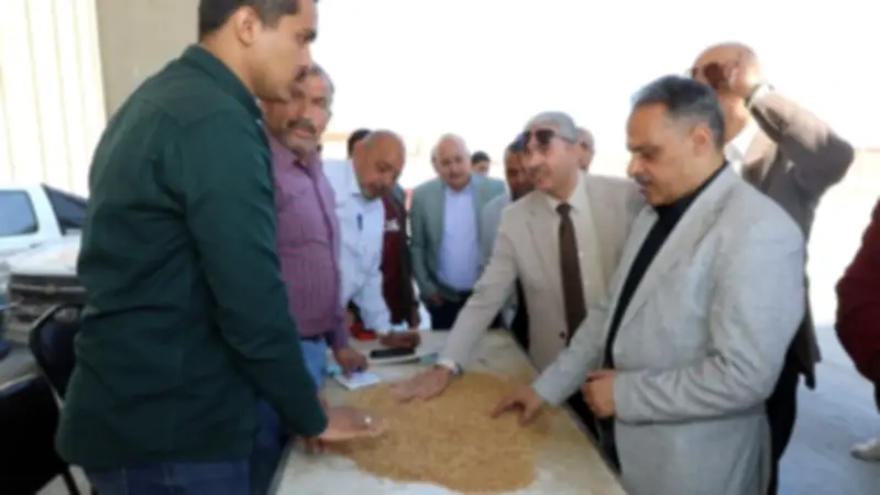 محافظ الشرقية يتفقد حصاد القمح ومشروع تسمين الماشية بقرية حنا