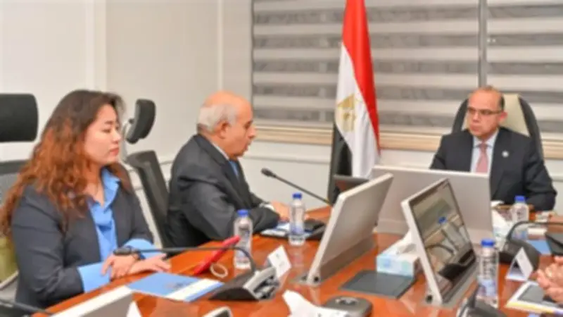 وزير الاستثمار يبحث مع شركة صينية إنشاء مجمع ضخم لإنتاج الإطارات ببرج العرب