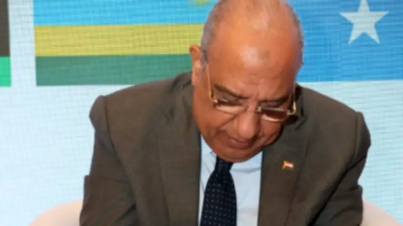 مصر تصبح المقر الدائم لمشغل سوق الكهرباء في تجمع شرق أفريقيا