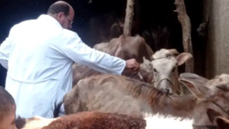 انطلاق الحملة القومية الثانية للتحصين ضد الحمى القلاعية والوادي المتصدع بالأقصر