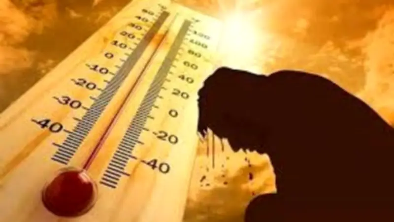 تعبان من الحر؟ اعرف أعراض وعلاج الإجهاد الحراري