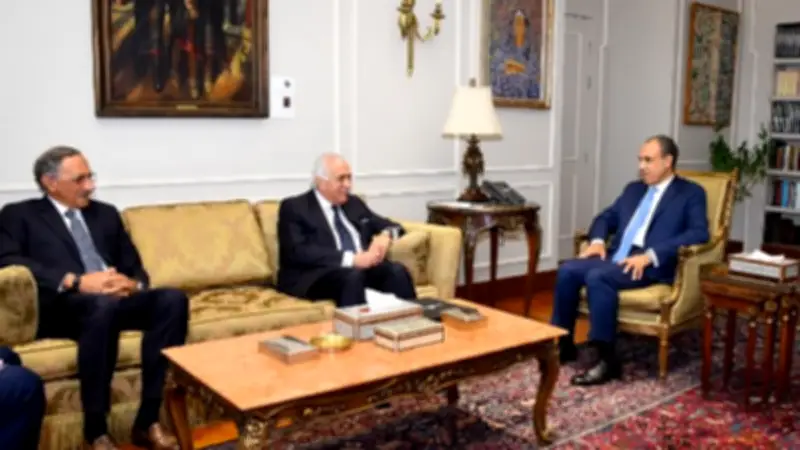 وزير الخارجية يبحث مع غرفة التجارة الأمريكية تعزيز التعاون الاقتصادي