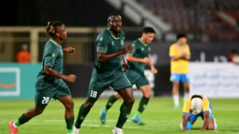 تشكيل الاتحاد السكندري ووادي دجلة في مواجهة الهبوط بالدوري المصري