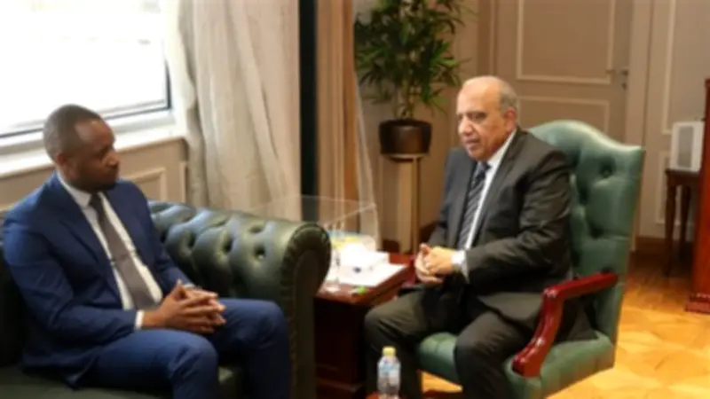 وزير الكهرباء يبحث مع نظيره الرواندي تعزيز التعاون المشترك في الطاقة