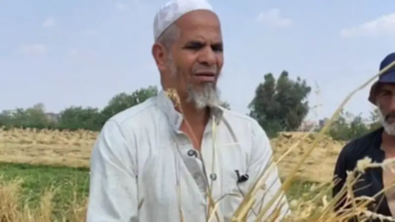 نجل المجني عليه في سرقة القمح يؤكد التصالح وانتظار قرار النيابة