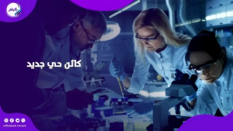 اكتشاف كائن حي جديد يعيد تعريف حدود التنوع الحيوي على الأرض