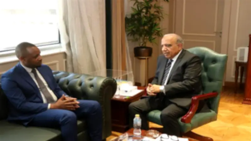 وزير الكهرباء المصري يبحث مع نظيره الرواندي تعزيز التعاون في الطاقة