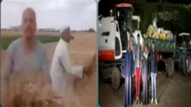 التصالح ينهي نزاع سرقة قمح الزنكلون وإخلاء سبيل المتهمين بالشرقية