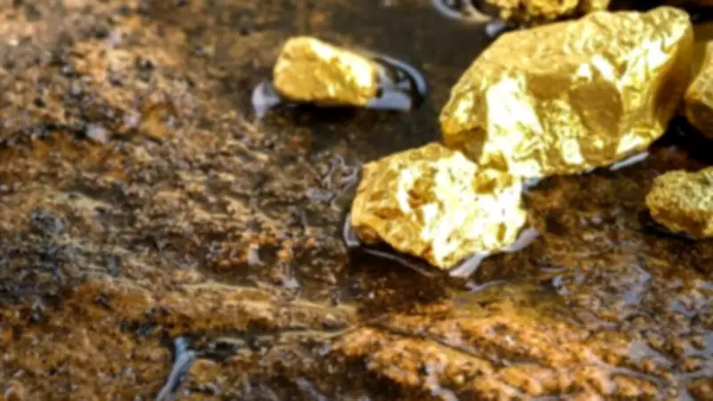 الحكومة تسمح لمالكي الأراضي بالبحث عن الذهب دون إيجار