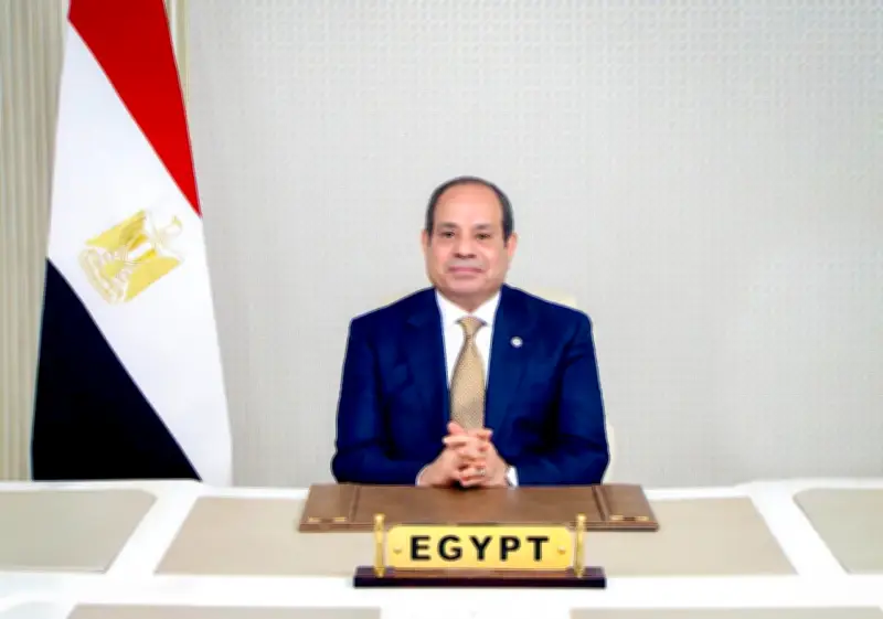 السيسي: التنمية لا تتحقق إلا بالعزيمة والإصرار والعلم وهذه رسالتي للقطاع الخاص