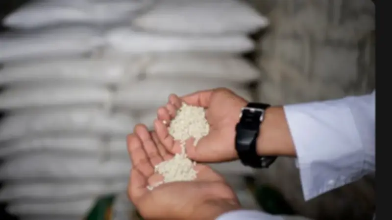 خبير دولي يحذر الحكومة من خفض حصة الأسمدة للمزارعين