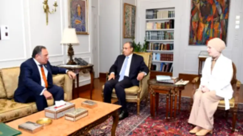 وزير الخارجية يبحث مع رئيس لجنة الشئون العربية تعزيز العمل العربي المشترك