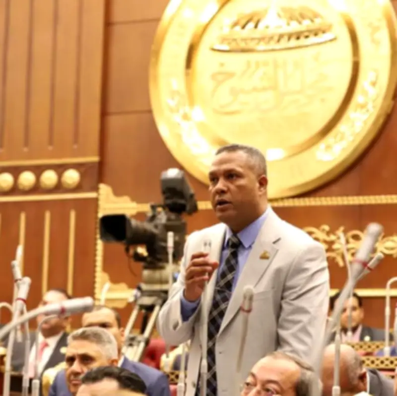 انفراجة كبرى لملف مزارعي أبيس بالإسكندرية والبحيرة.. نائب يكشف التفاصيل