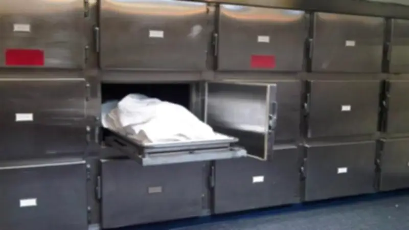 إحالة واقعة تبديل جثمانين بمستشفى تلا بالمنوفية إلى النيابة للتحقيق