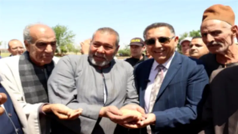 محافظ القليوبية يتفقد حصاد القمح ويؤكد دعم المزارعين