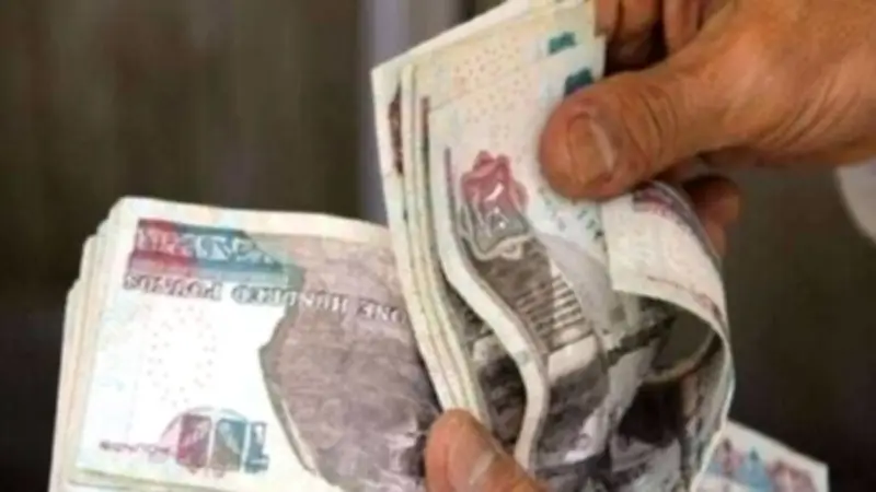 العد التنازلي لزيادة أجور العاملين بالدولة يوليو المقبل